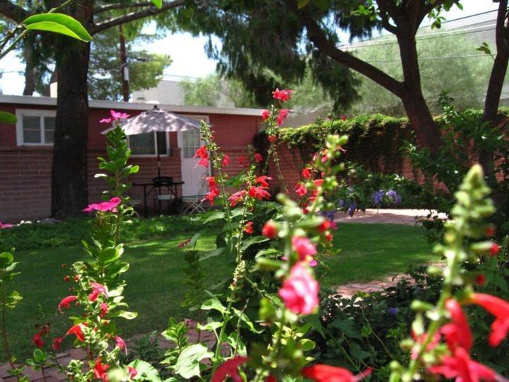 Mon Ami Bed And Breakfast Tucson Cameră foto